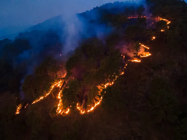 Warum KI unserem Planeten derzeit mehr schadet als nützt
