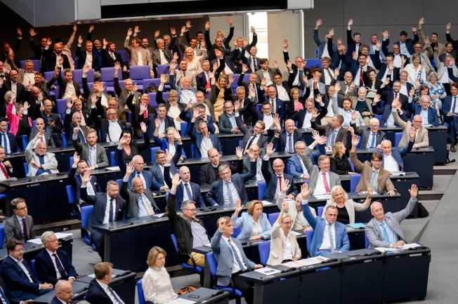 Studie: Die vier wichtigsten Erkenntnisse über den AfD-Wahlerfolg
