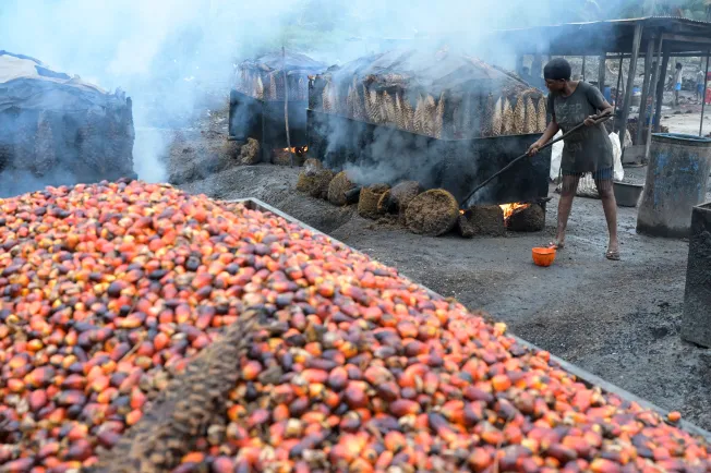 EU-Lieferkettengesetz gilt nur noch für 15 Prozent der ursprünglich erfassten Firmen